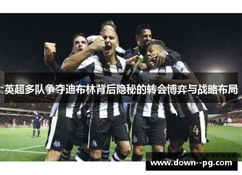 英超多队争夺迪布林背后隐秘的转会博弈与战略布局