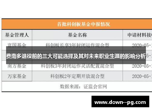 费南多退役前的三大可能选择及其对未来职业生涯的影响分析