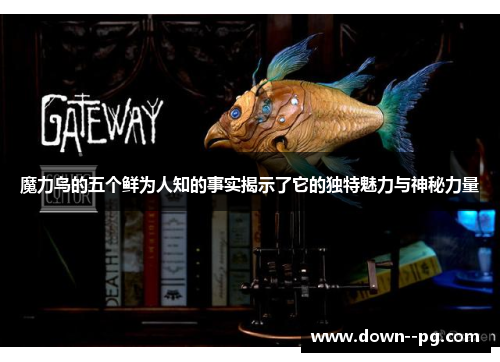 魔力鸟的五个鲜为人知的事实揭示了它的独特魅力与神秘力量