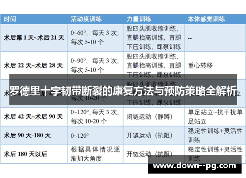 罗德里十字韧带断裂的康复方法与预防策略全解析